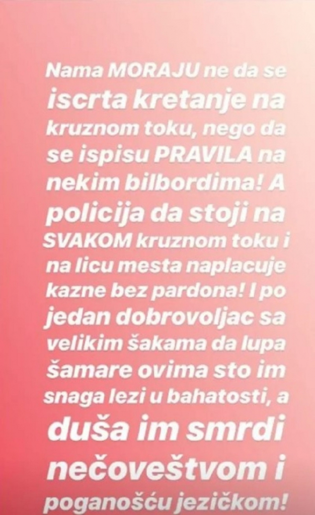 Du&scaron;ičin stori