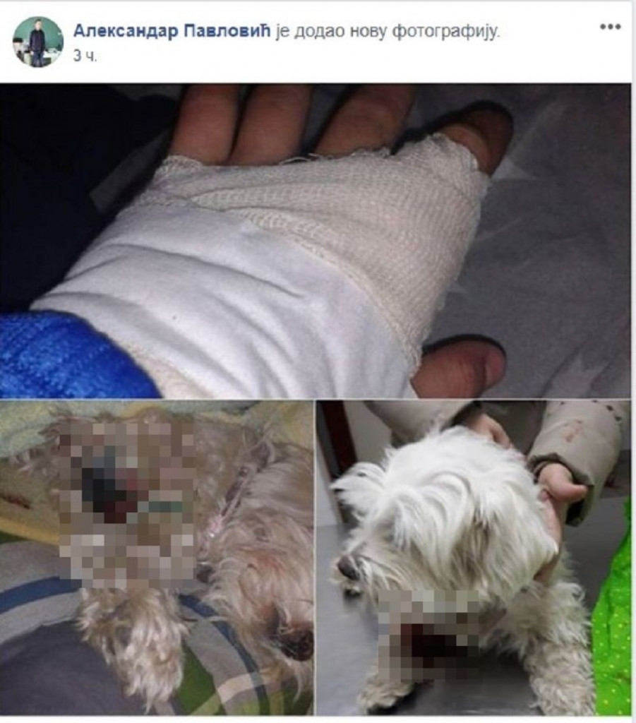 Detetu povređena ruka, pudlice okrvavljene