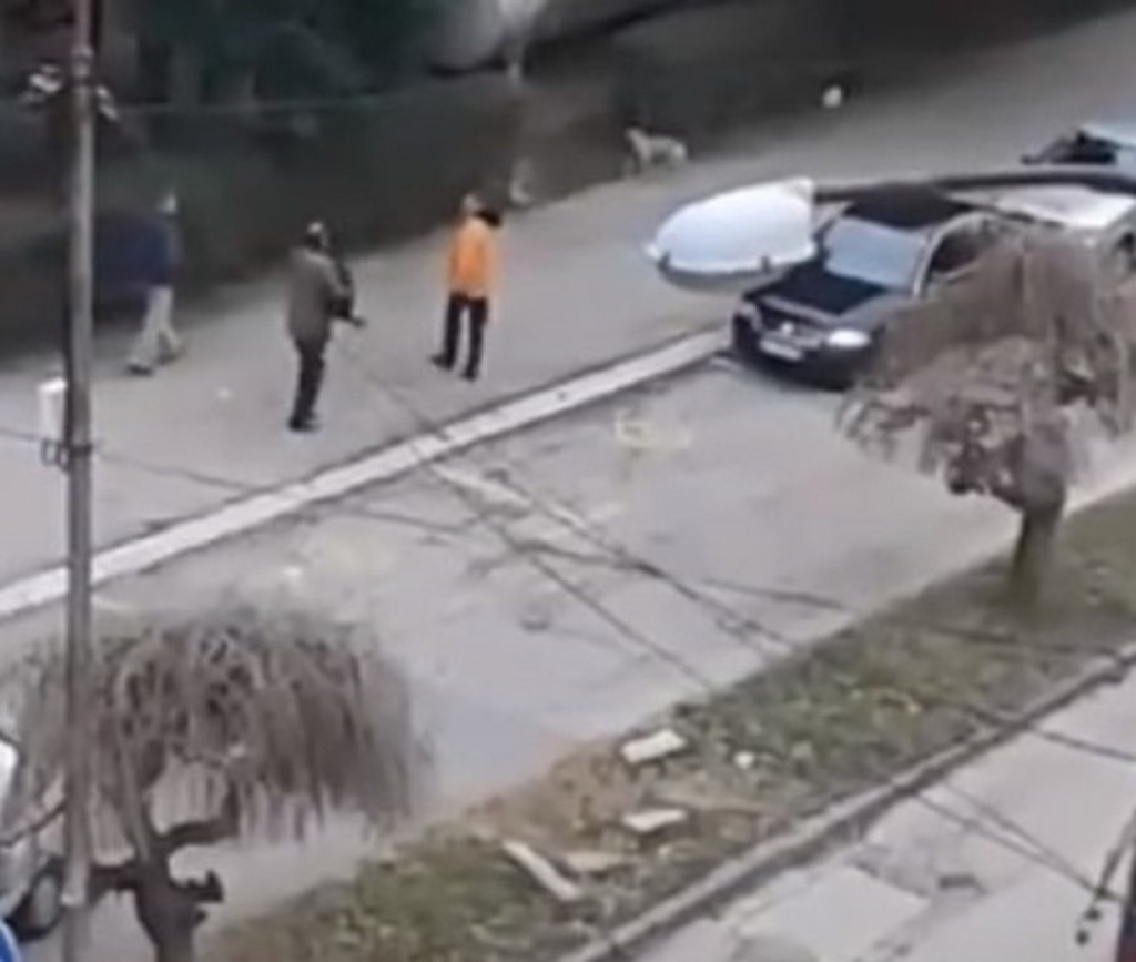 Staford napao dete i pudlice u Smederevskoj Palanci