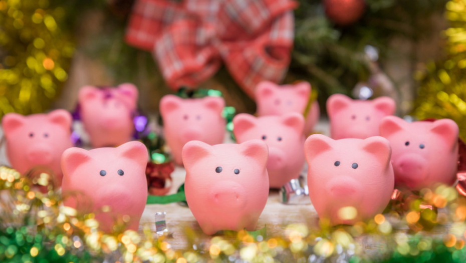 Svinja, godina svinje, kineski horoskop, prase