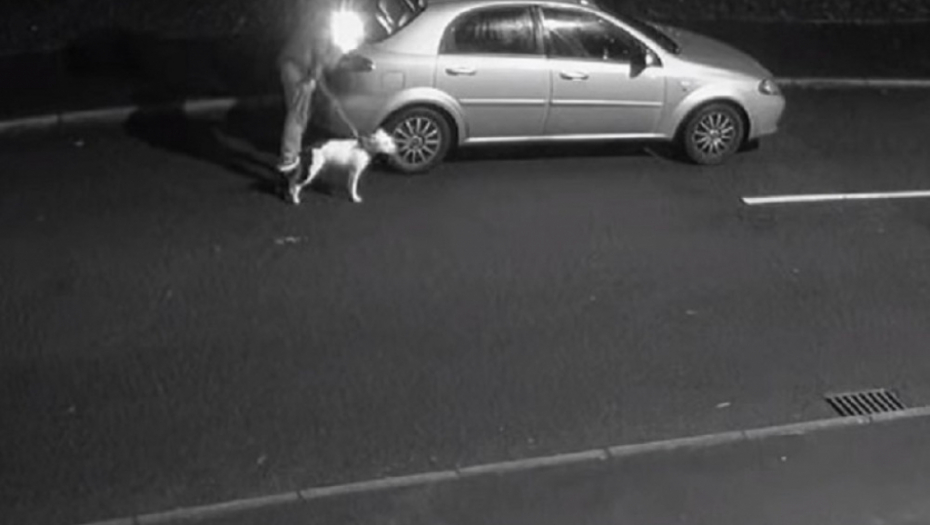 Ostavio psa na ulici i dodao gas