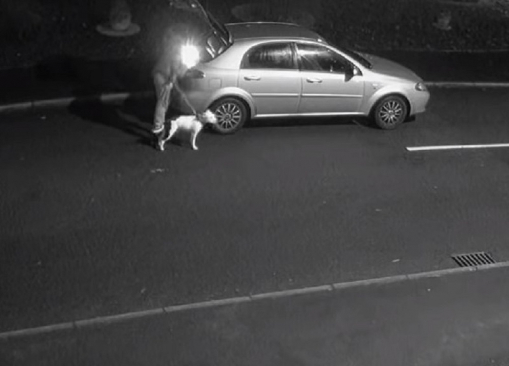 Ostavio psa na ulici i dodao gas