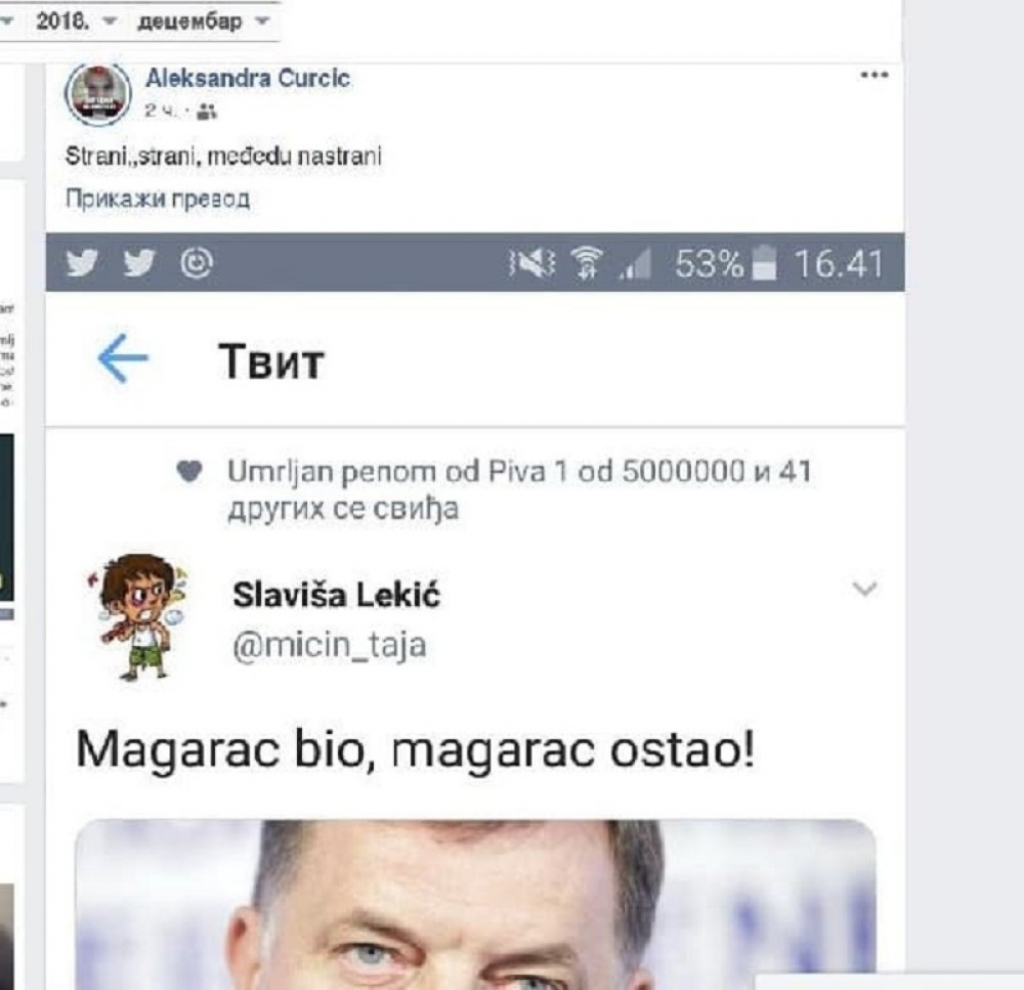 Aleksandra Ćurčić izvređala Dodika