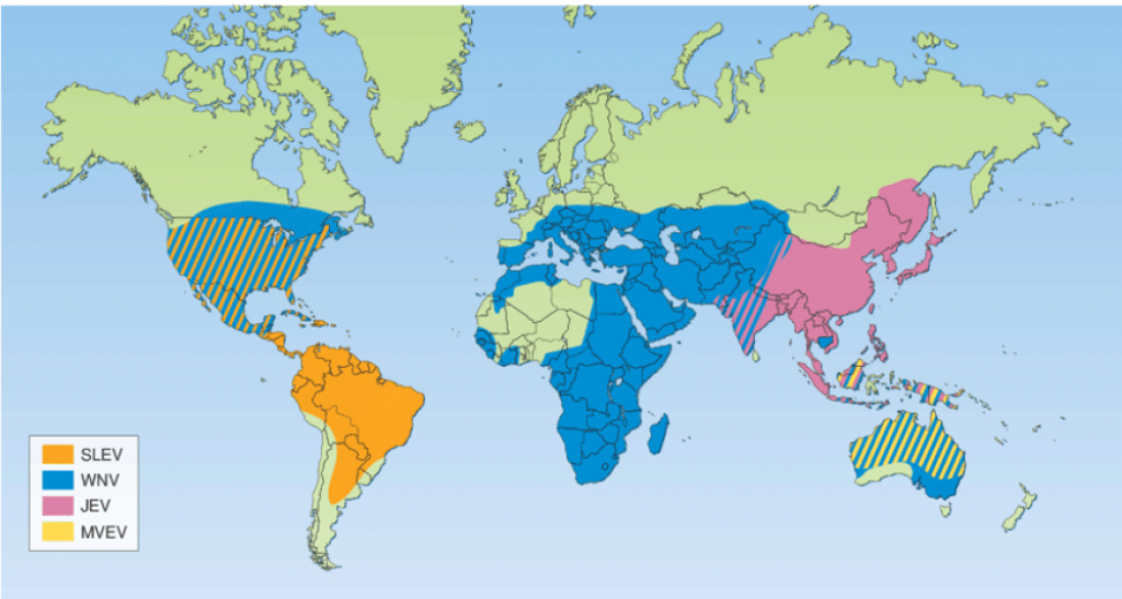 Rasprostranjenost Japanskog encefalitisa