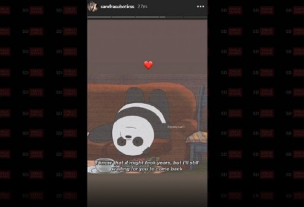 Objava Aleksandre Subotić