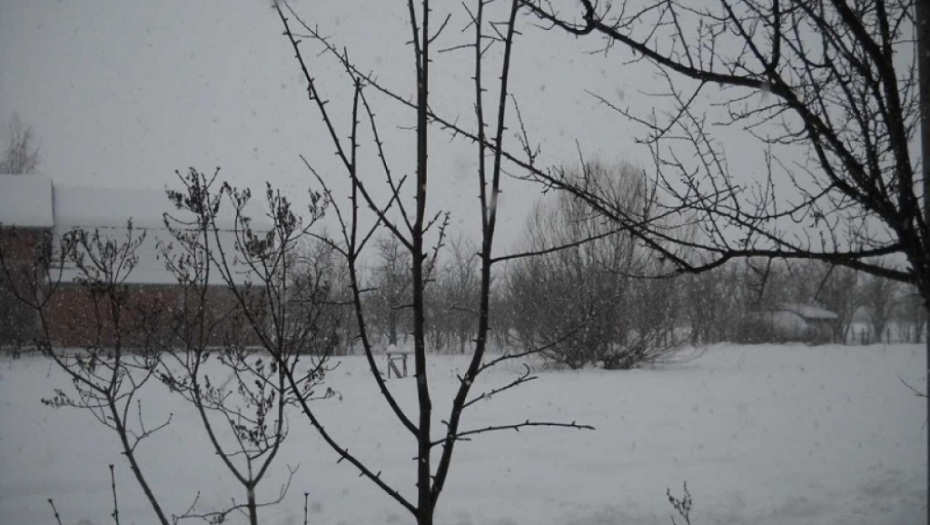 Veliko Trnjane, Leskovac