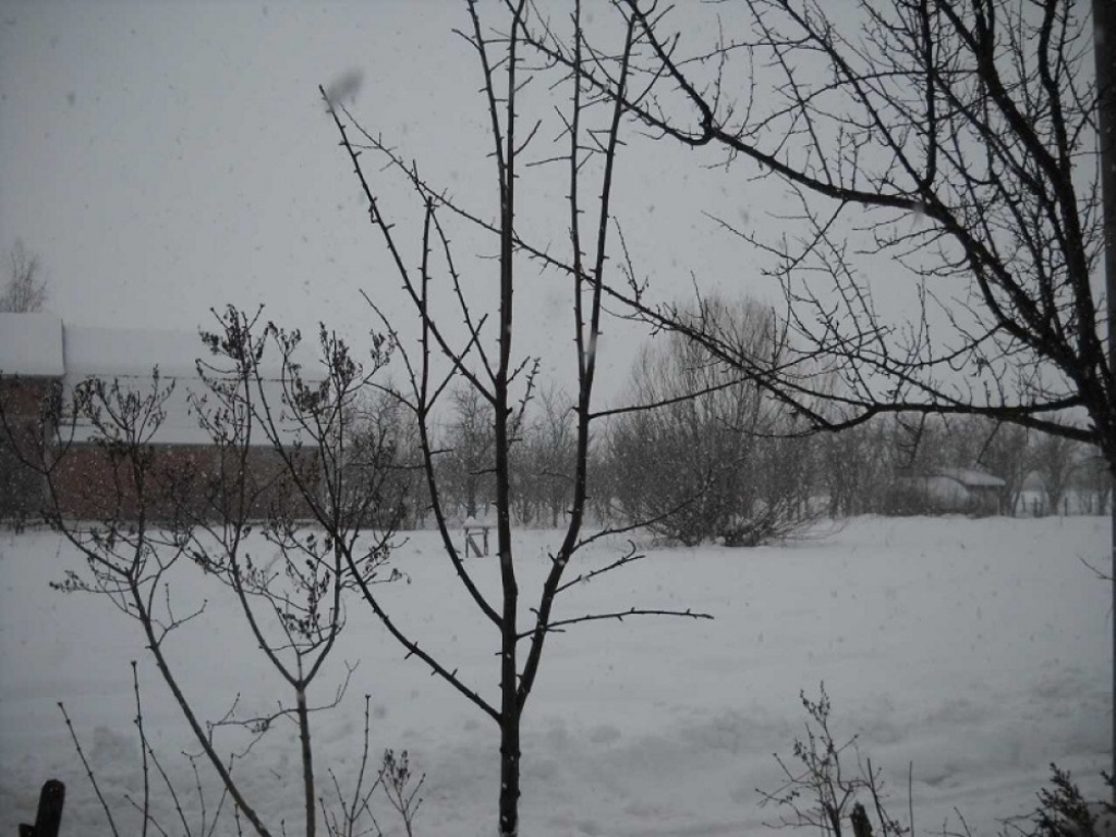 Veliko Trnjane, Leskovac