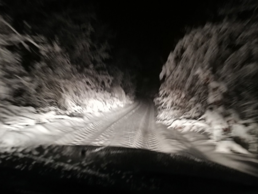 Akcija policije i vatrogasaca