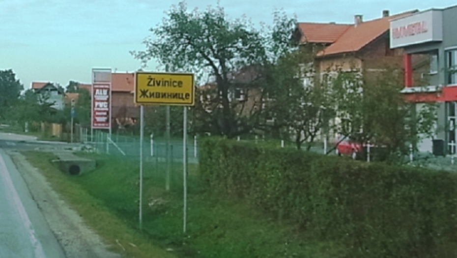 Živnice