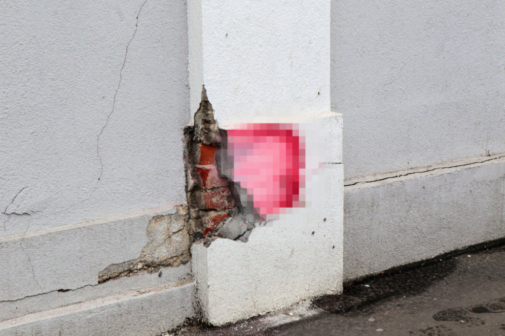 Saobraćajna nesreća, Dea Đurđević, Dedinje