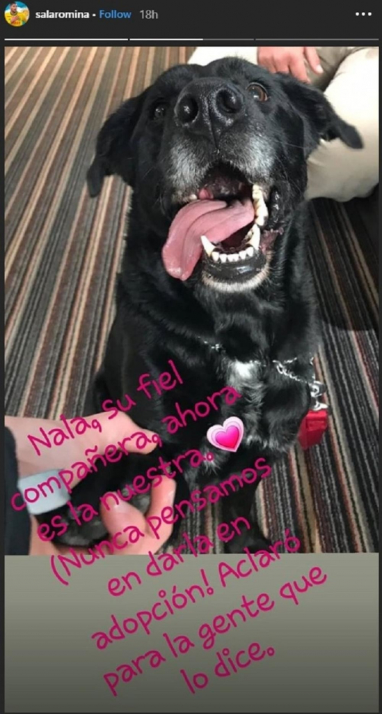 Pas nestalog fudbalera Sale