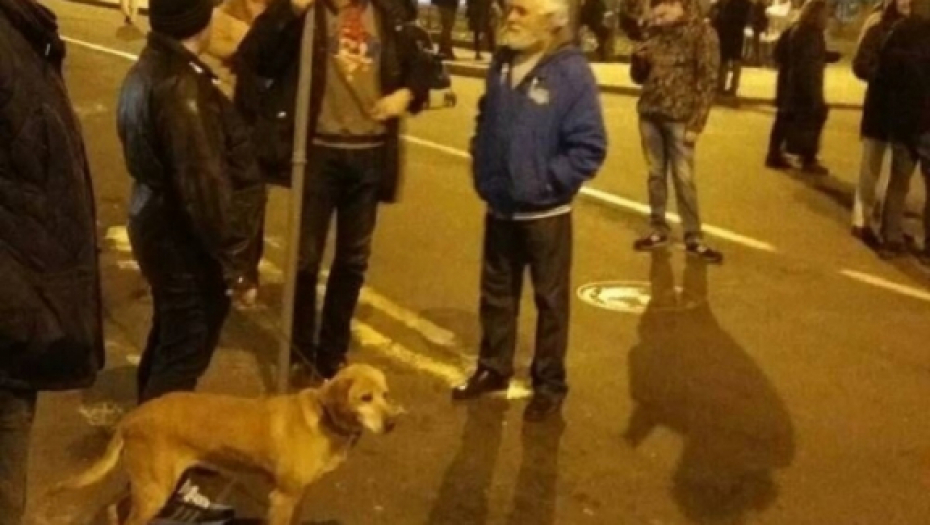 Vešala na protestima 