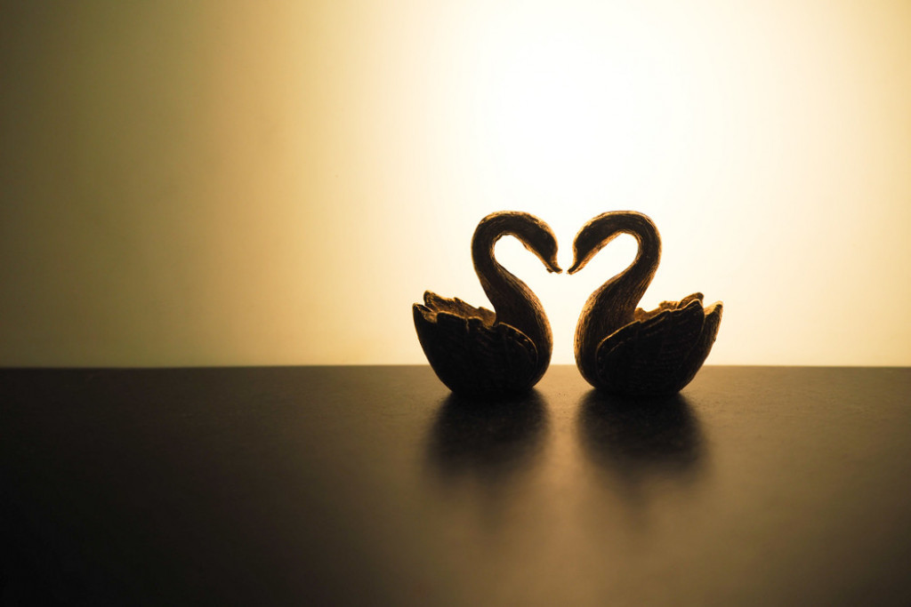 ljubav, feng &scaron;ui, labudovi