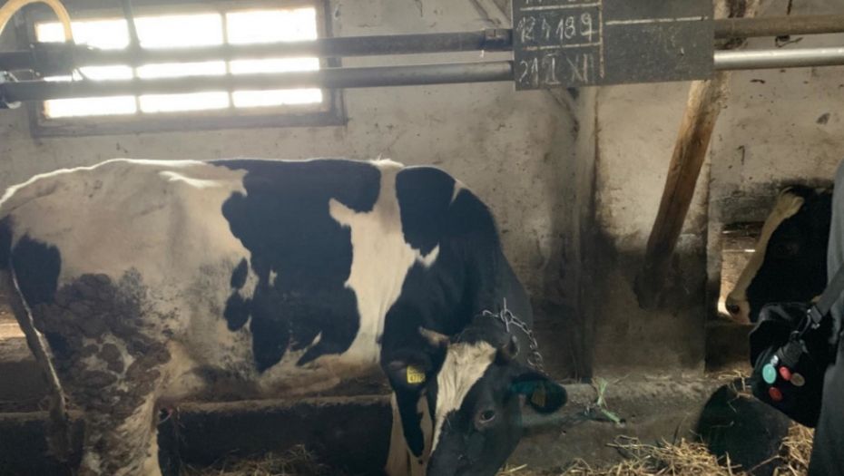 Aleksandar Vučić, obilazak