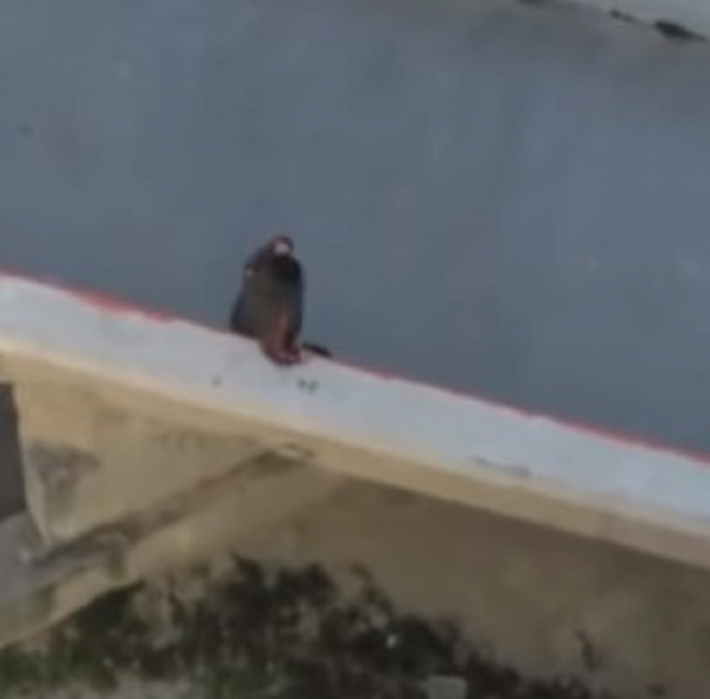 Žena ne može da pređe most od bure