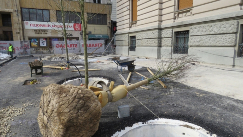 Nova stabla ispred Narodnog muzeja