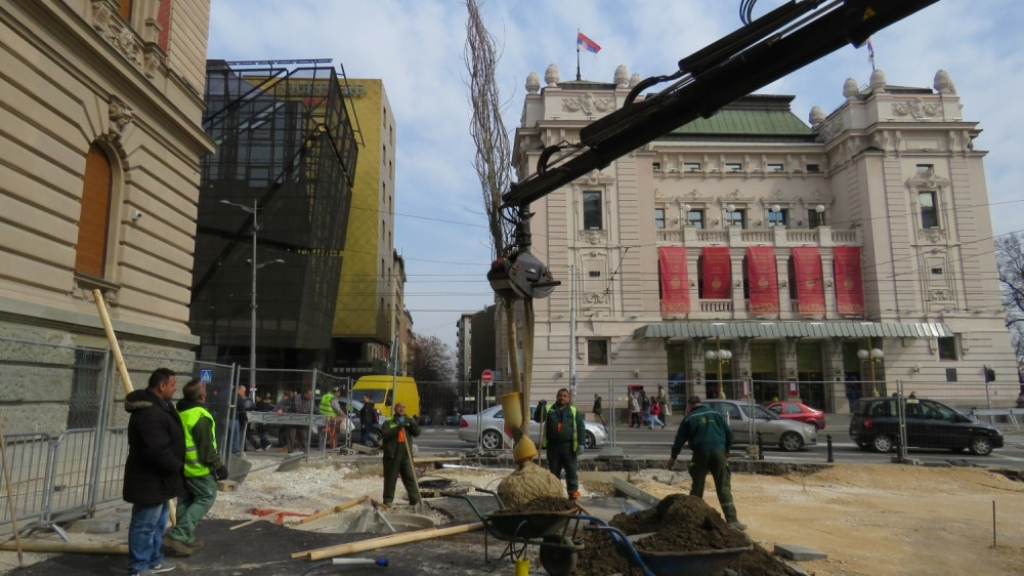 Nova stabla ispred Narodnog muzeja