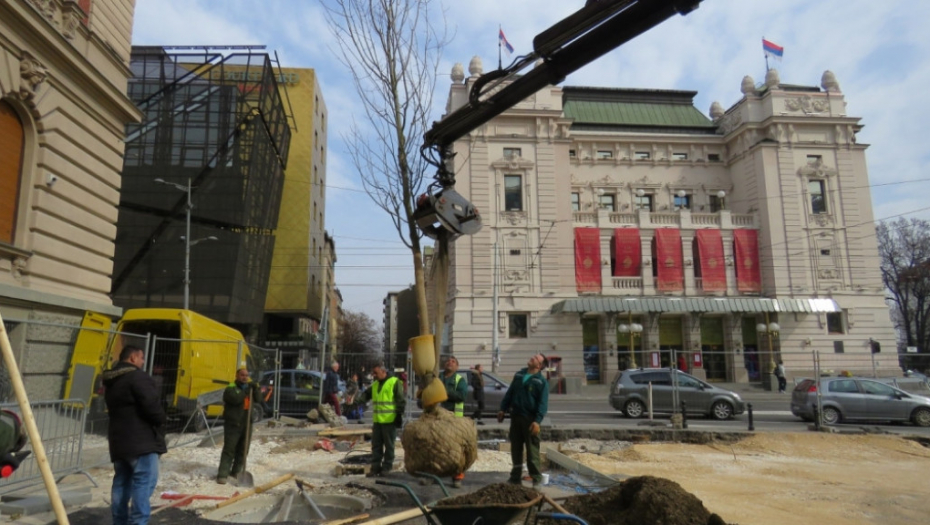 Nova stabla ispred Narodnog muzeja