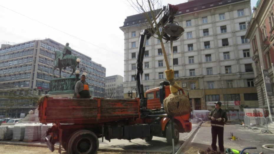 Nova stabla ispred Narodnog muzeja