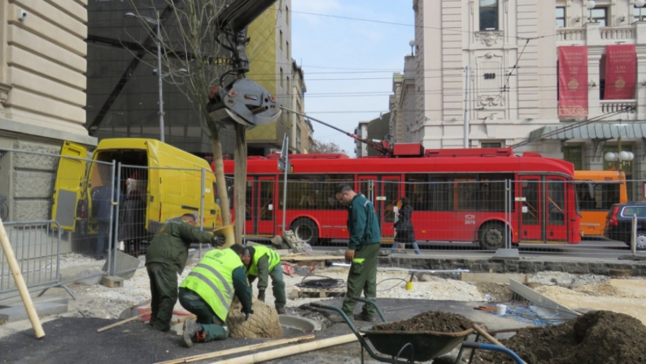 Nova stabla ispred Narodnog muzeja