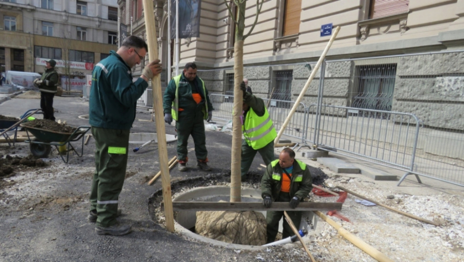 Nova stabla ispred Narodnog muzeja