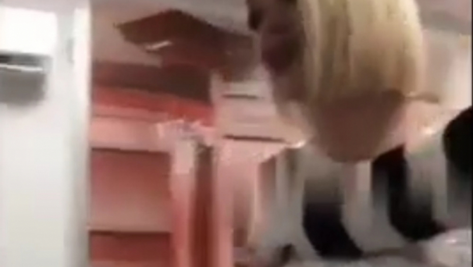 Slađa Petrušić Parovi