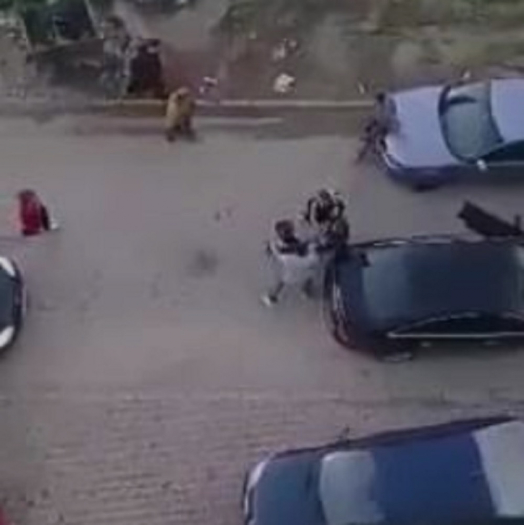 Sevale pesnice u Tutinu