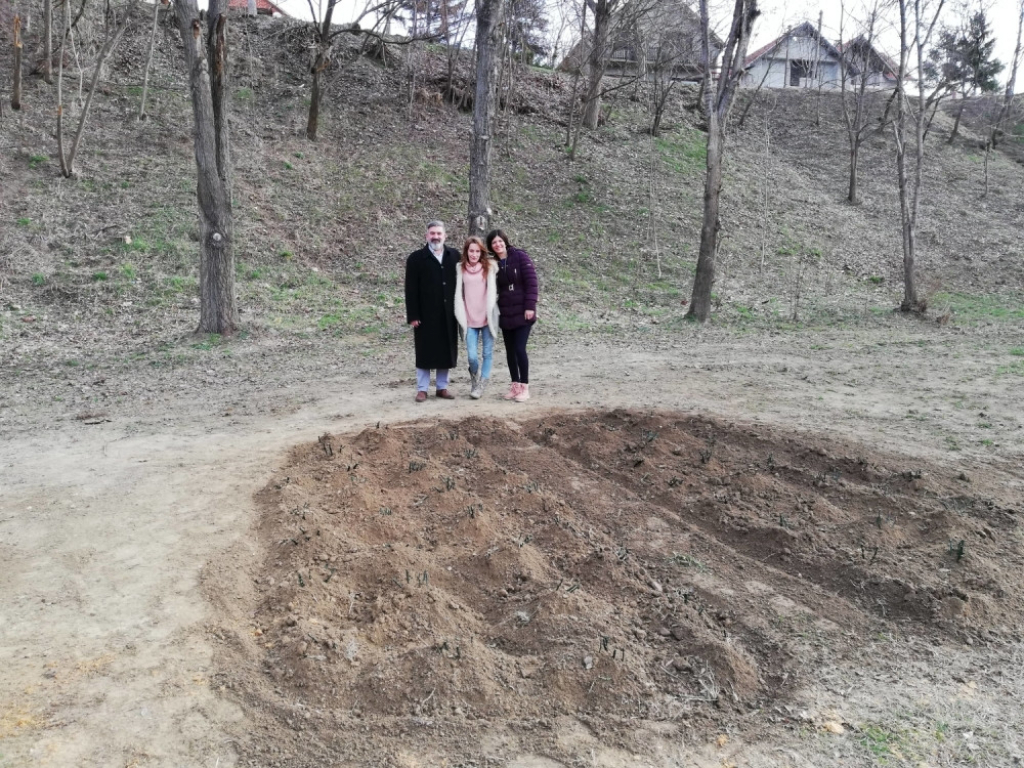 Sađenje ruža u Inđiji