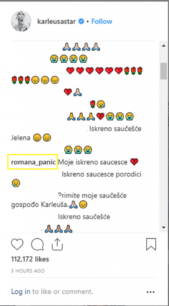 Jelena Karleuša, Divna Karleuša