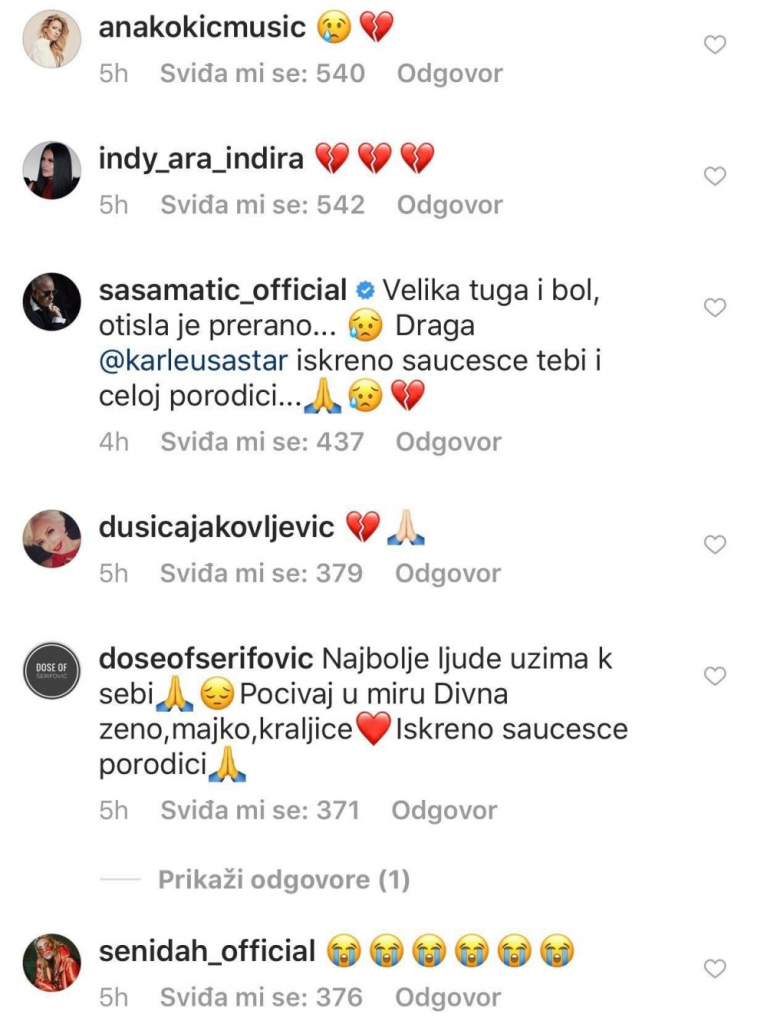 Jelena Karleuša, Divna Karleuša