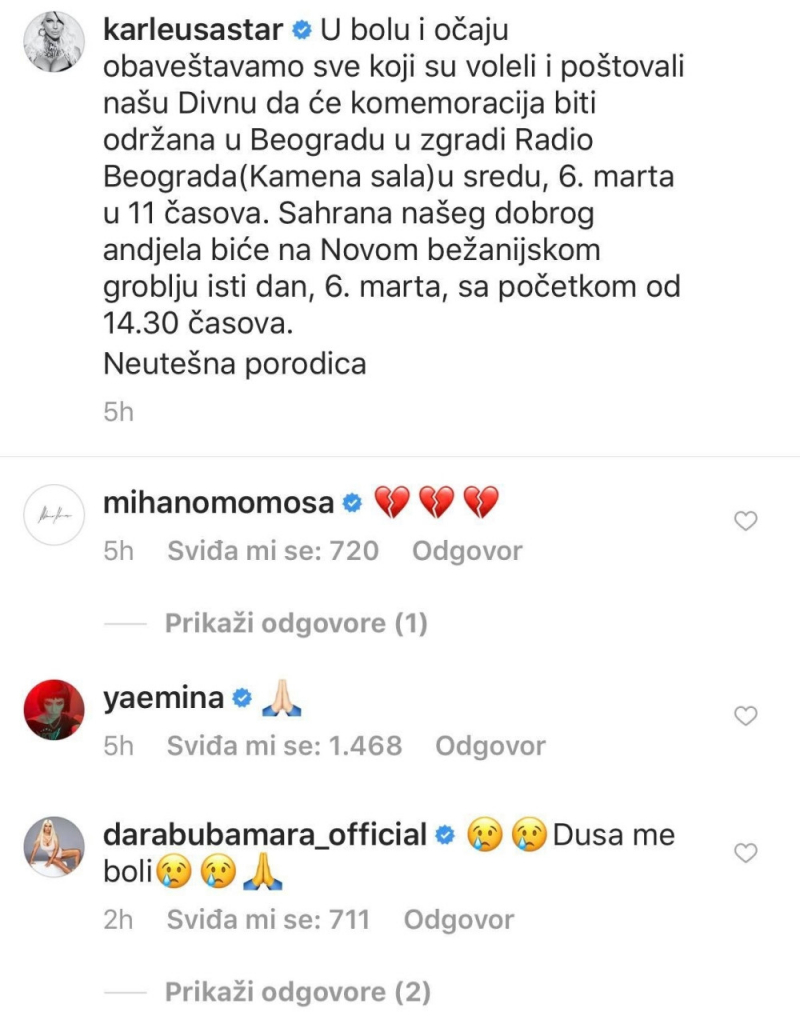 Jelena Karleuša, Divna Karleuša