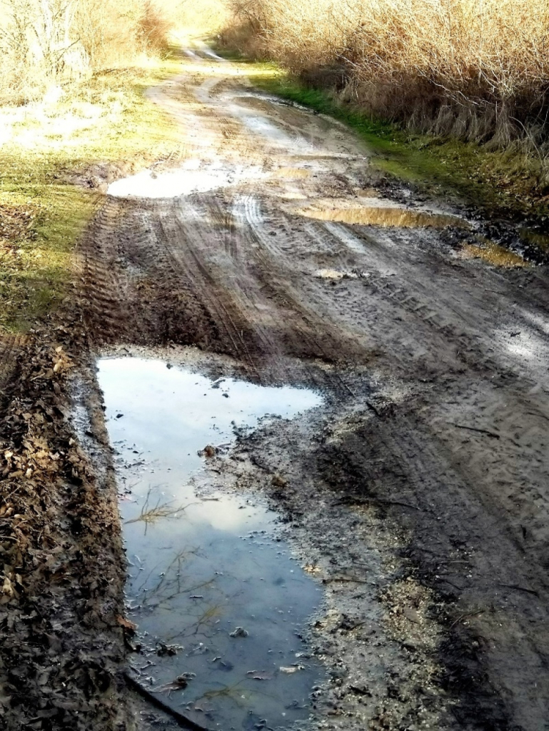 Resnik: Blato do kolena posle kiše, Foto: privatna arhiva