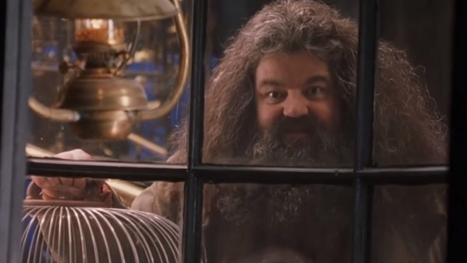 Hagrid, Hari Poter