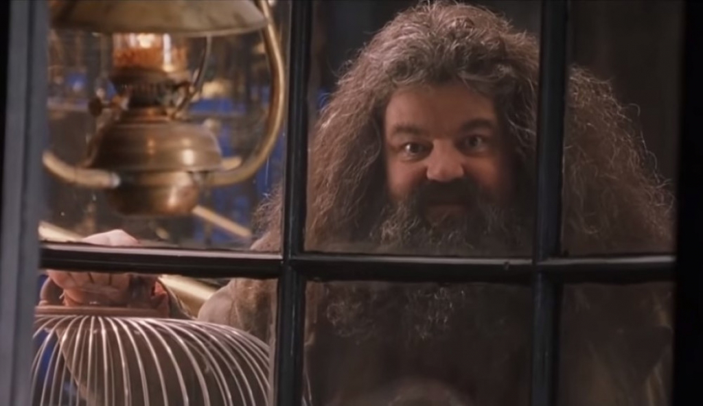 Hagrid, Hari Poter