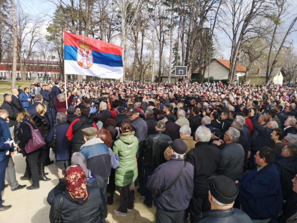 Aleksandar Vučić, Negotin