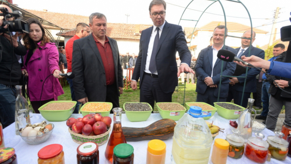 Aleksandar Vučić, Rtkovo