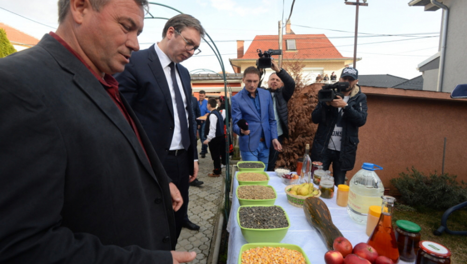 Aleksandar Vučić, Rtkovo