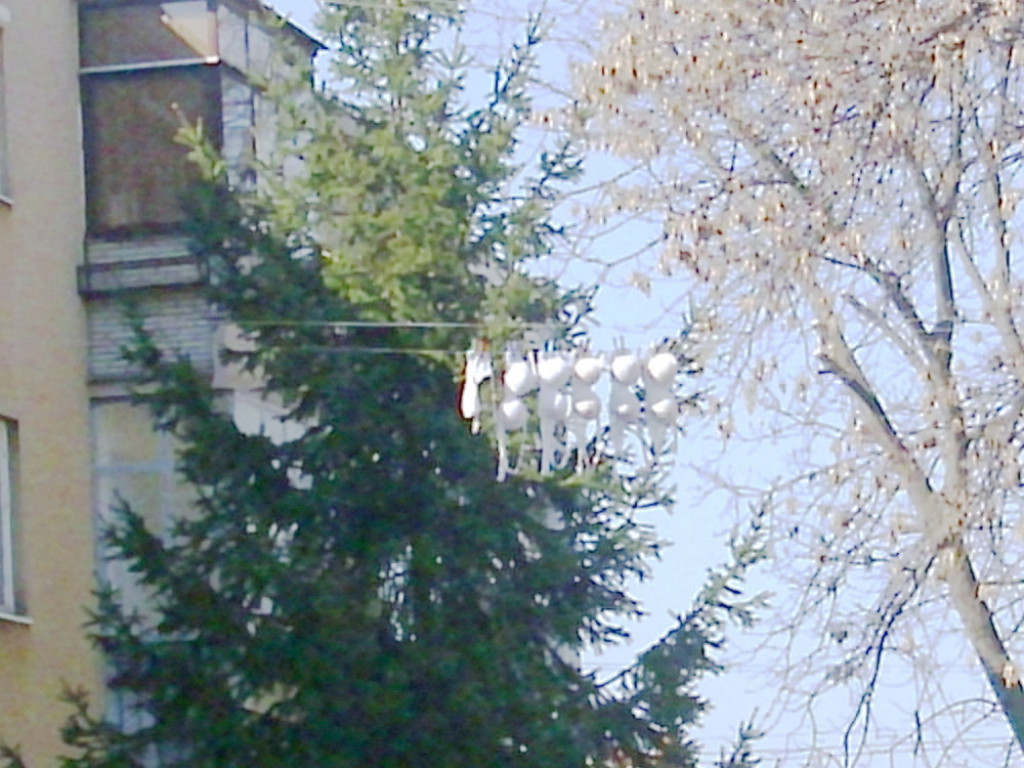 Su&scaron;enje ve&scaron;a, Leskovac