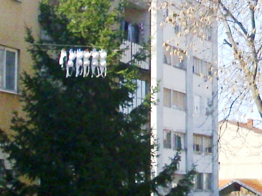 Su&scaron;enje ve&scaron;a, Leskovac