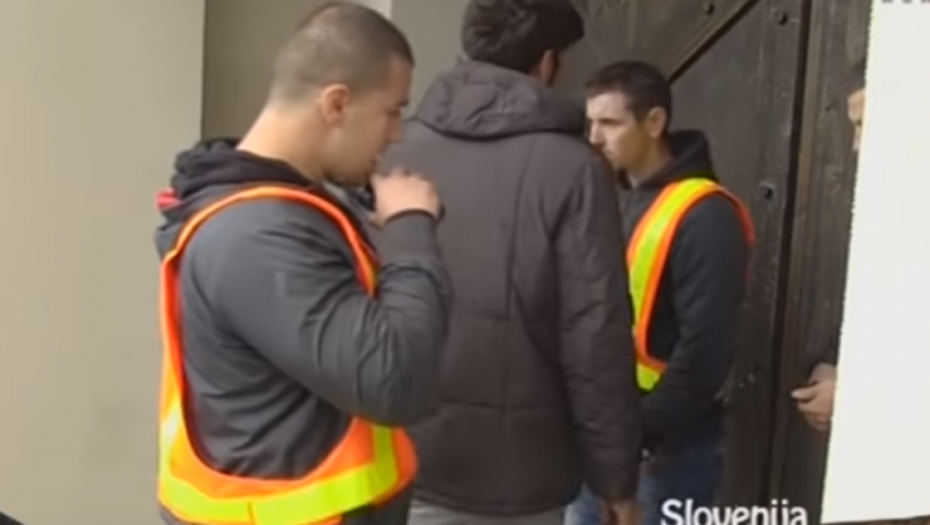 Zadruga, Žarko Stanojević