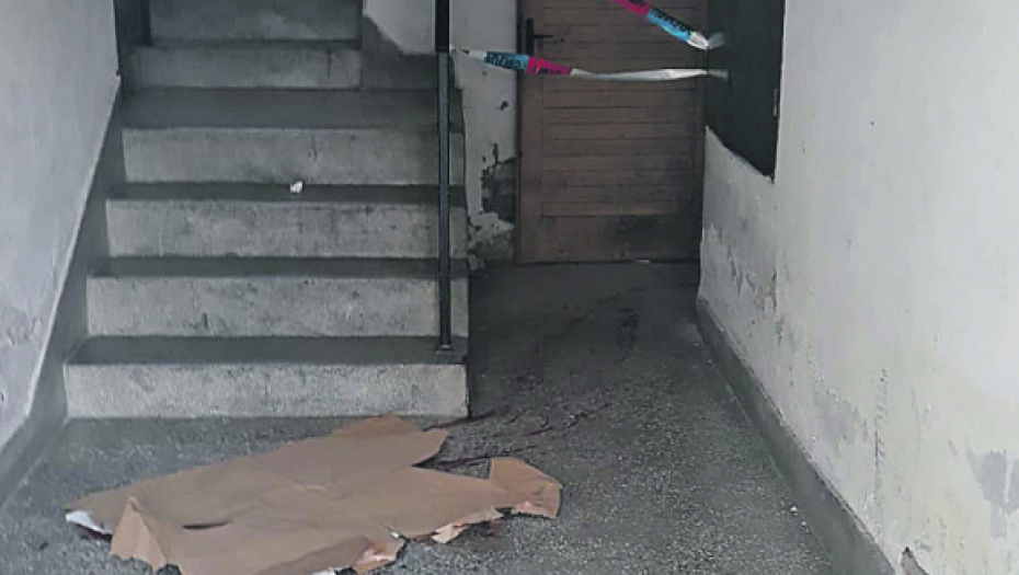 Ubistvo, Snežana Maćić