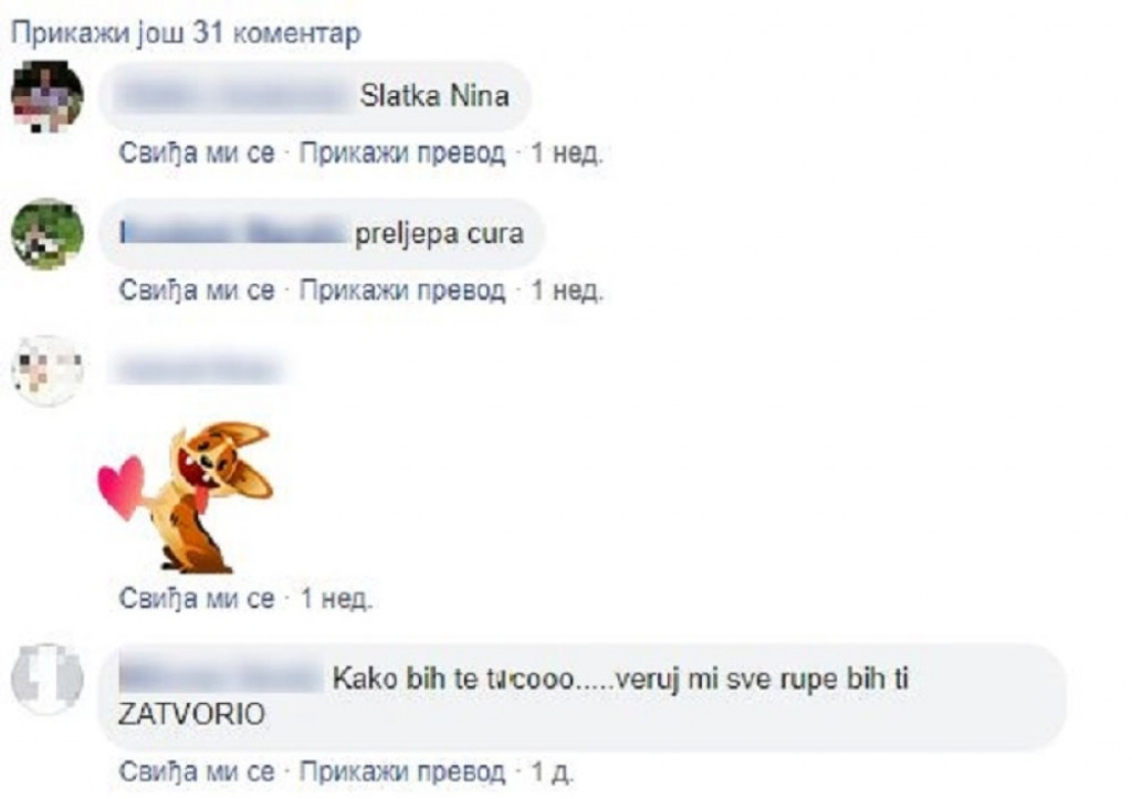 Jedan u nizu vulgarnih komentara