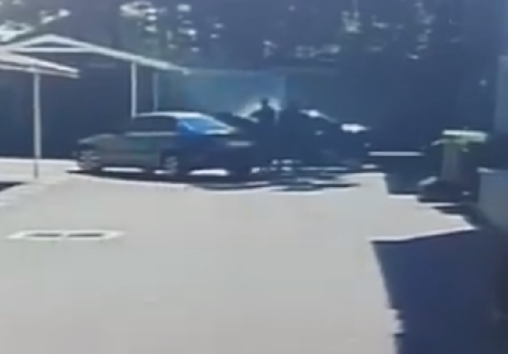 Ubistvo Srbina, Južnoafrička republika