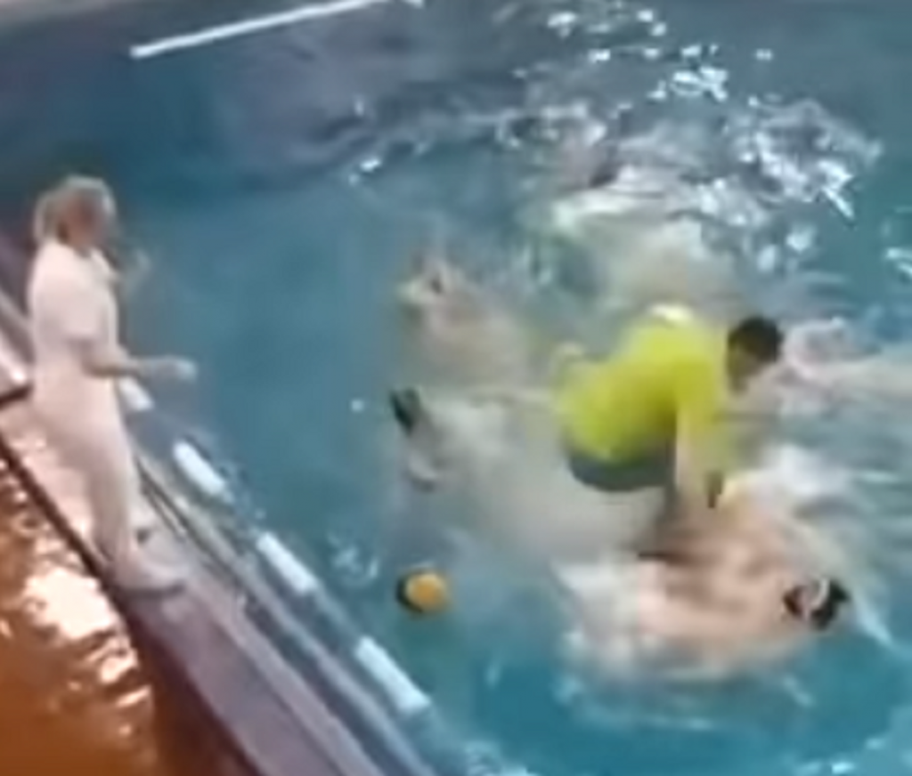 tuča u bazenu