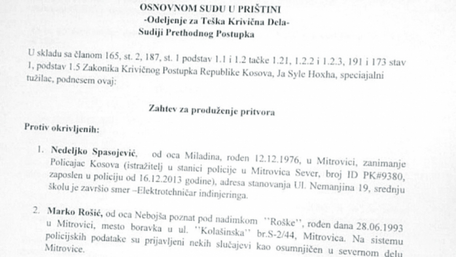 Dokumenta, Rada Trajković