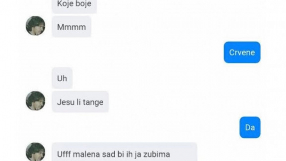 Prepiska Vanje Milševića, Snežana Đurišić