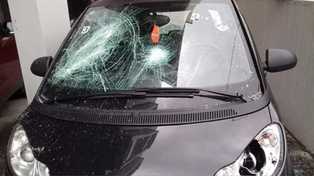 Napad, Predrag Savić