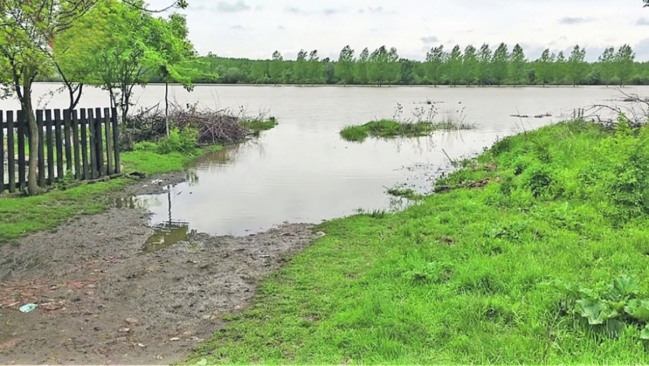 Zrenjanin, Tomaševac