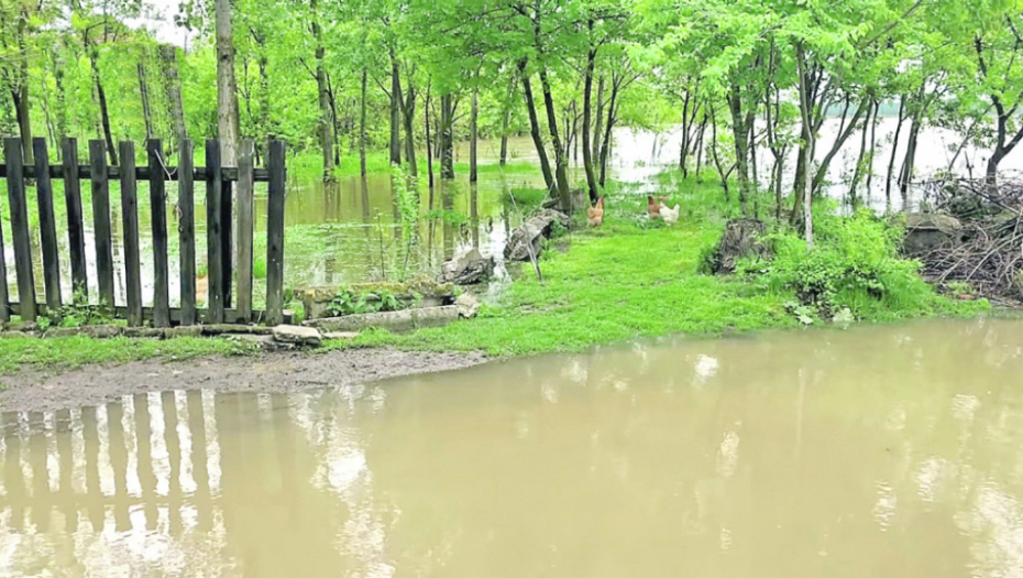 Zrenjanin, Tomaševac