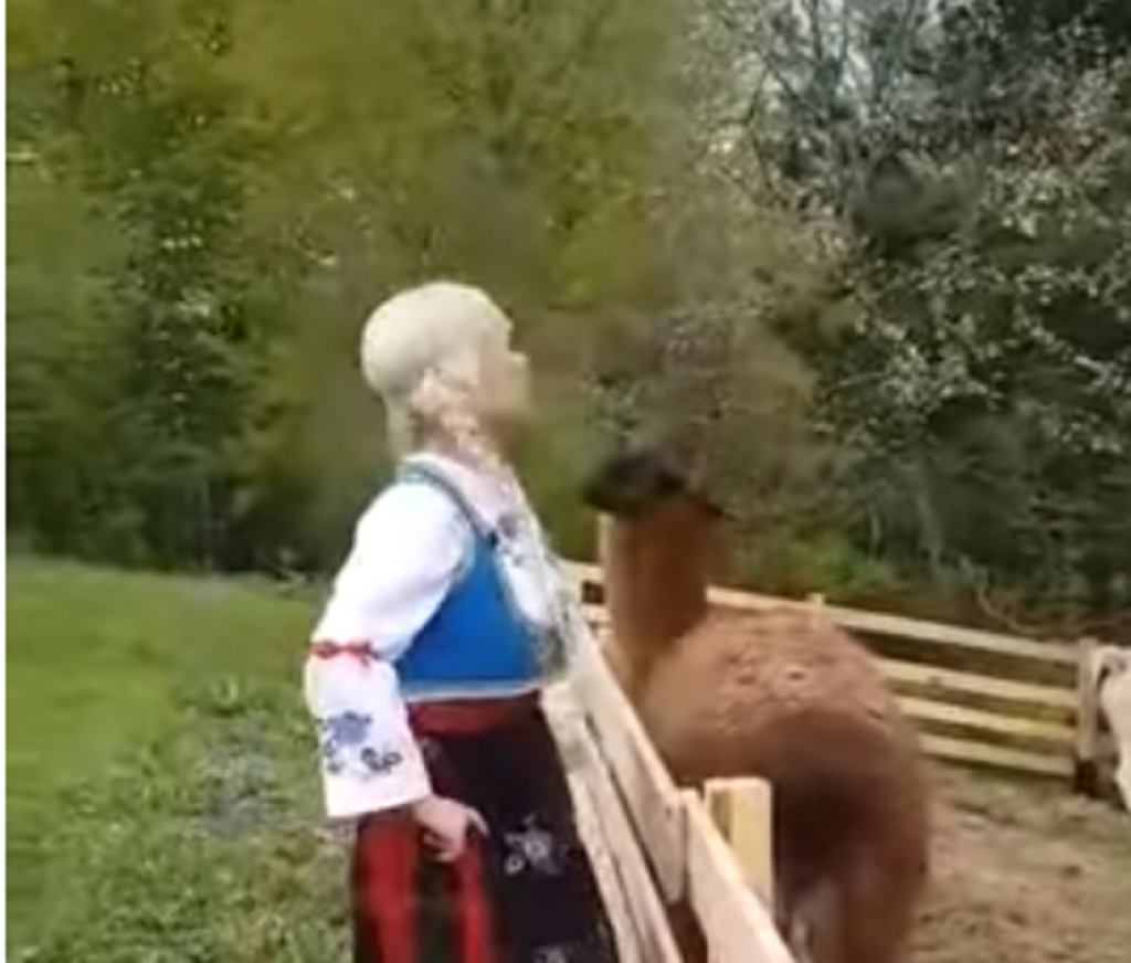 Slađana Slađa Petrušić